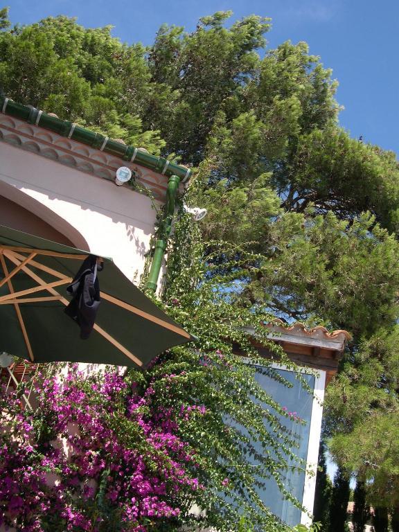 B&B Mas Du Soleilla Narbonne Exterior photo